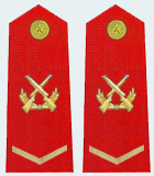 武警二级士官肩章(2007—2009)