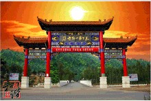 三合牡丹 三合牡丹