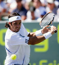 费尔南多 冈萨雷斯 费尔南多 冈萨雷斯