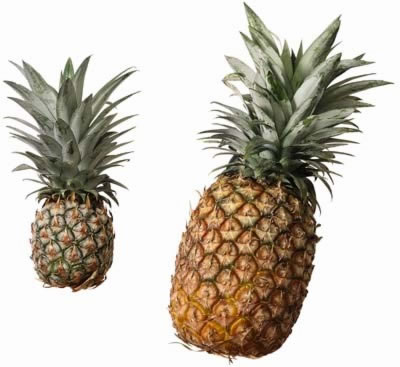 【pineapple】什么意思_英语pineapple的翻译