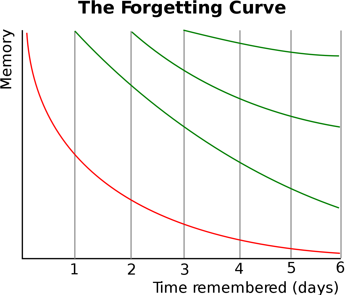 forgetting curve