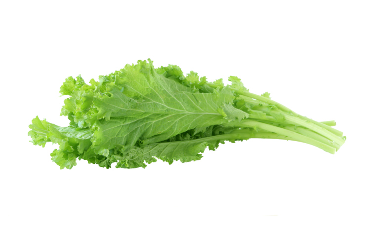 mustard leaf